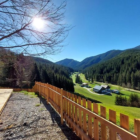 Huette Neuhaus Villa Annaberg im Lammertal Eksteriør bilde