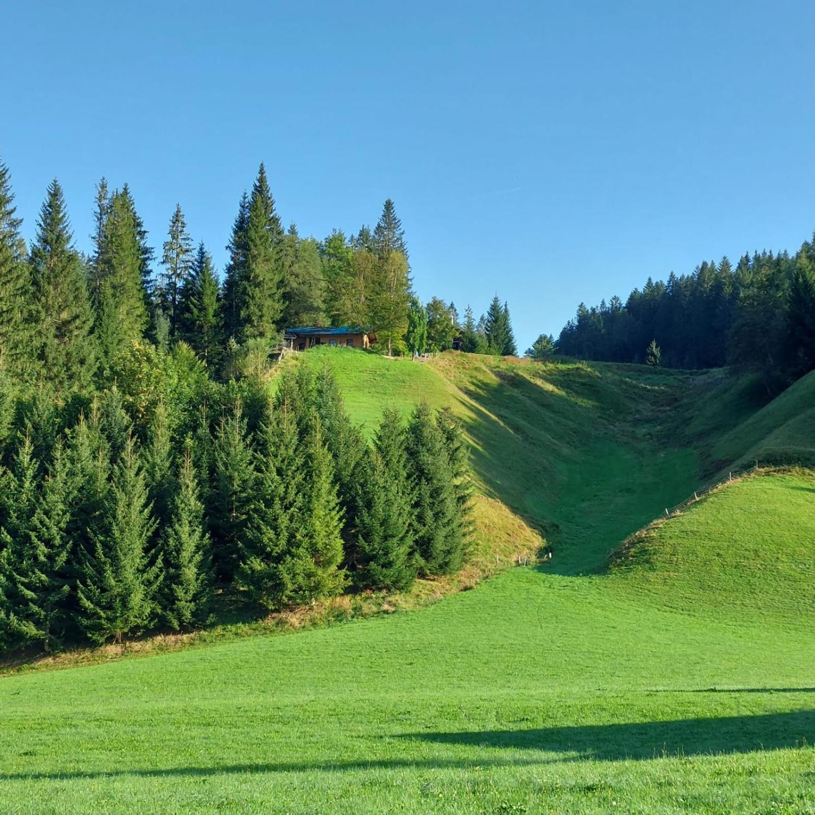Huette Neuhaus Villa Annaberg im Lammertal Eksteriør bilde