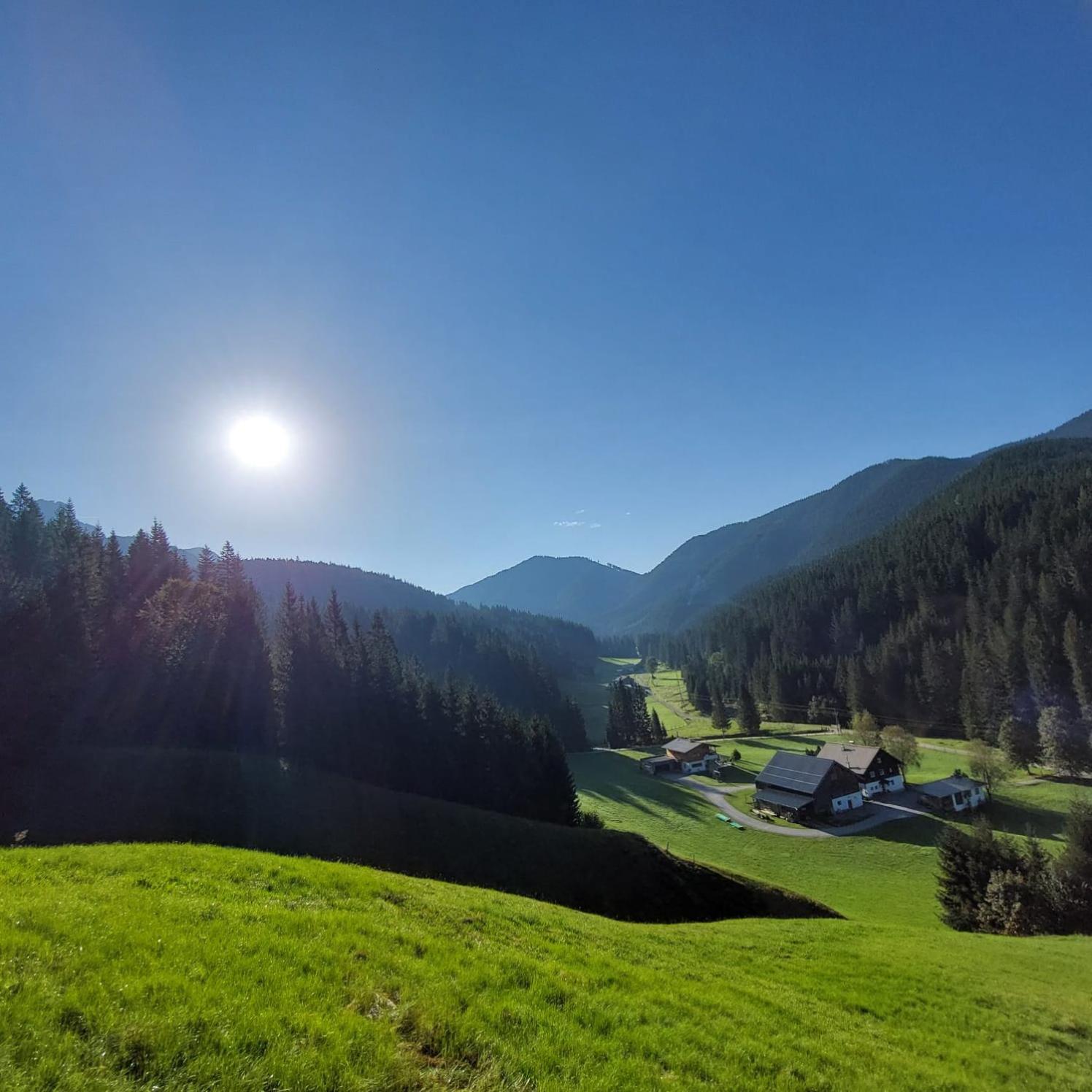 Huette Neuhaus Villa Annaberg im Lammertal Eksteriør bilde