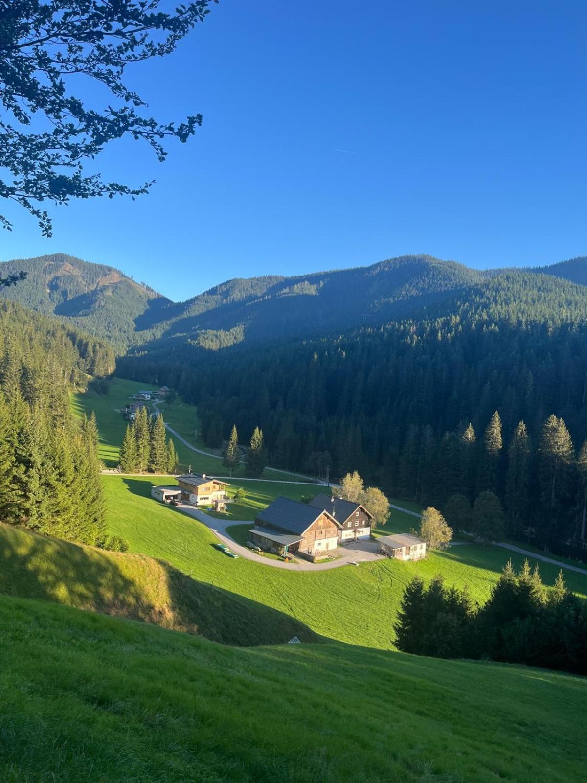Huette Neuhaus Villa Annaberg im Lammertal Eksteriør bilde