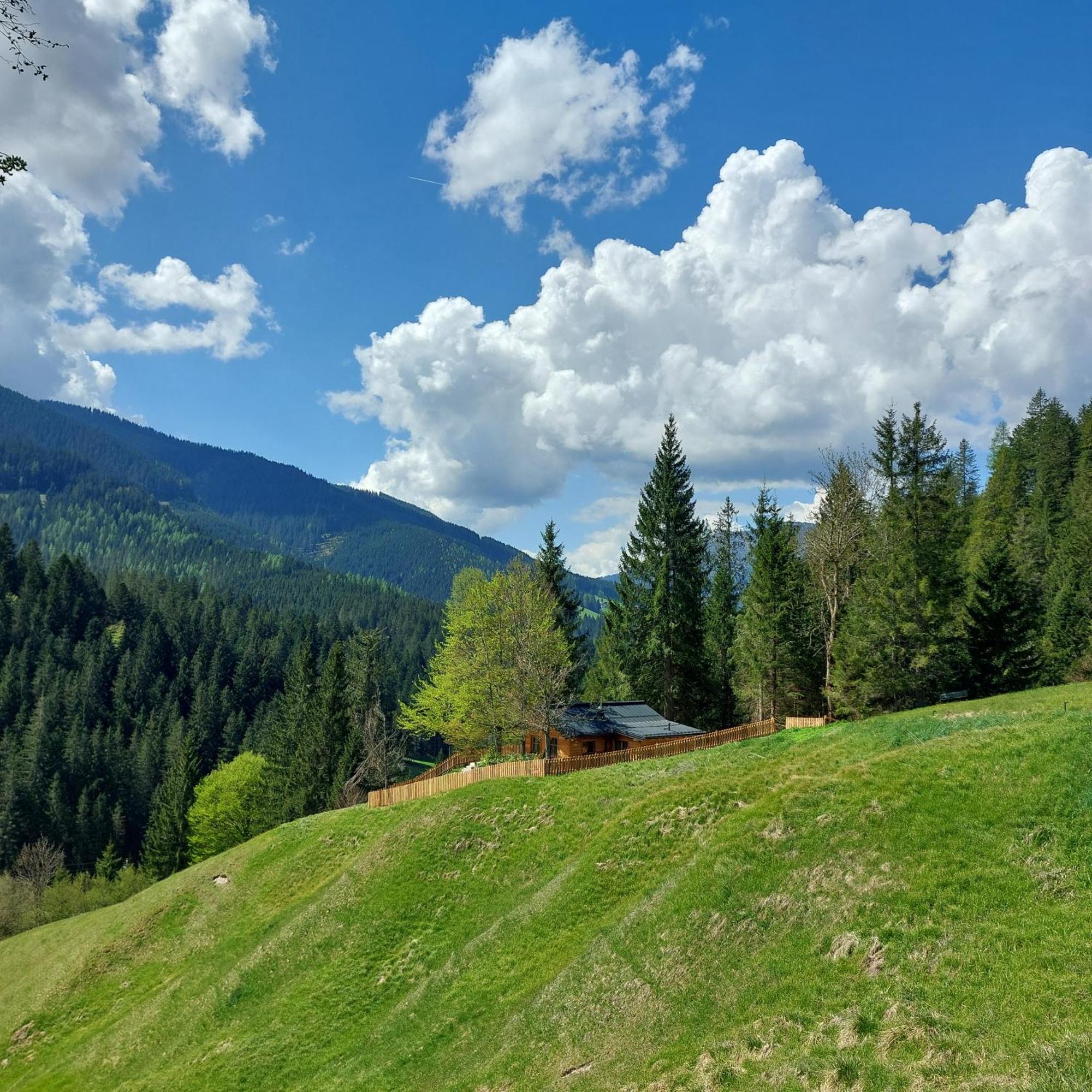 Huette Neuhaus Villa Annaberg im Lammertal Eksteriør bilde