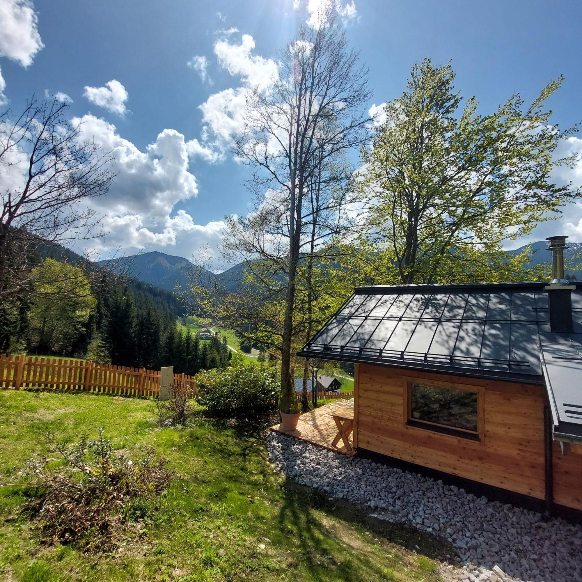 Huette Neuhaus Villa Annaberg im Lammertal Eksteriør bilde