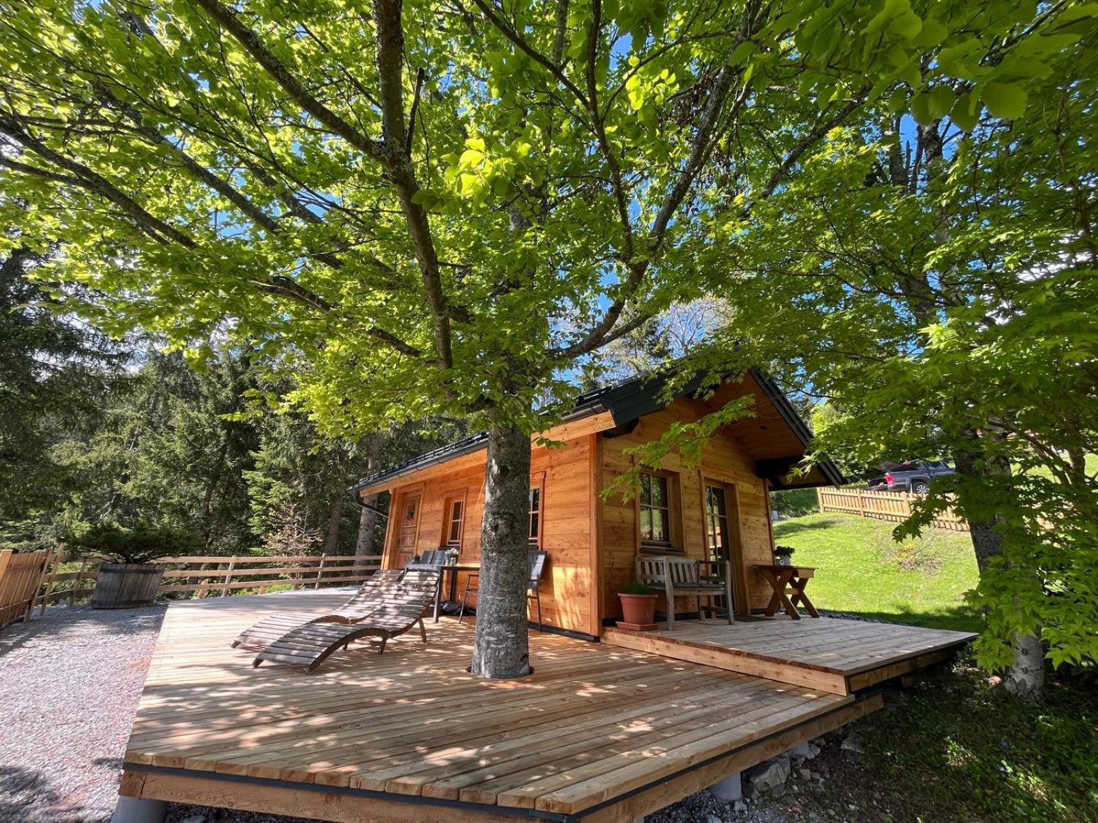 Huette Neuhaus Villa Annaberg im Lammertal Eksteriør bilde