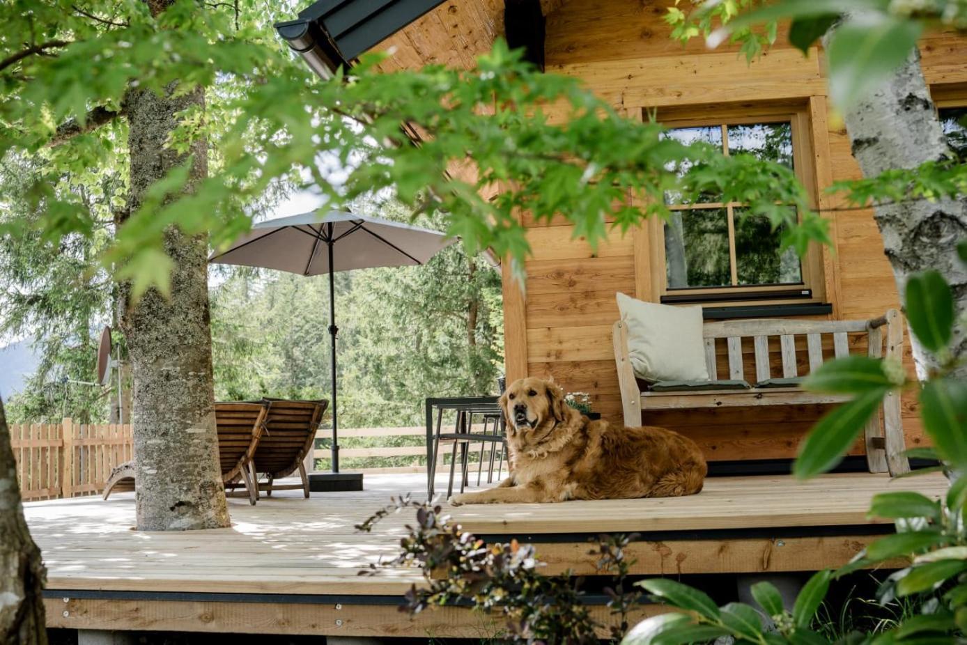 Huette Neuhaus Villa Annaberg im Lammertal Eksteriør bilde